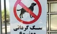 برخورد با سگ‌گردانی در اماکن و معابر عمومی زرند