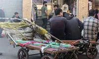 قتل خونین در بازار تهران بر سر جابه‌جایی بار