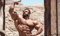 واکنش جالب هادی چوپان به روز «شیراز»