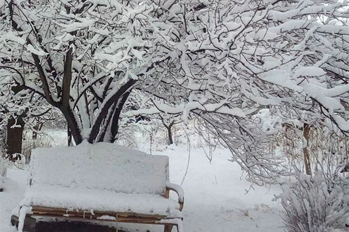 تصاویری از بارش شدید برف در مراغه