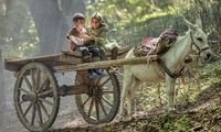 «روماک» در ژانر کودک و نوجوان کلید خورد