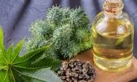 چگونه روغن کرچک اصل را تشخیص بدهیم؟