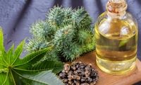 چگونه روغن کرچک اصل را تشخیص بدهیم؟