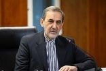 واکنش معنادار ولایتی به خبر تغییر نام خلیج فارس