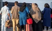 مقصد اصلی افغانستانی‌های تحصیل‌کرده مشخص شد