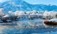 دلبری یک قوچ در طبیعت بکر ایران‌زمین