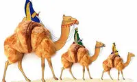 هنرمندی که اشیاء روزمره را به تصاویری جذاب تبدیل می‌کند