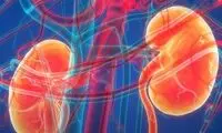 برای سلامت کلیه‌ها چی بخوریم؟