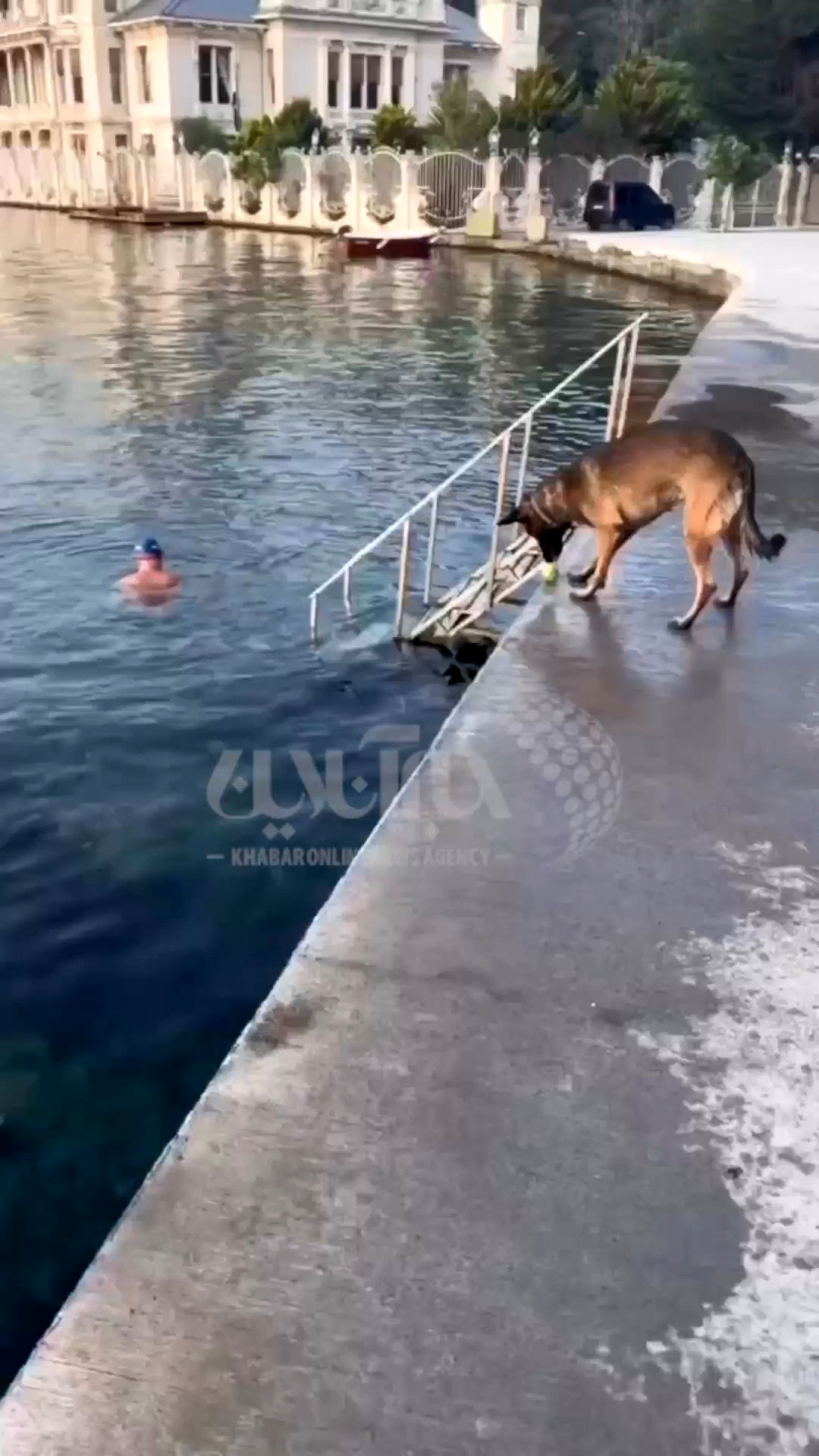 تمرین عجیب یک سگ در لب دریا برای شکار توپ!