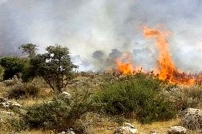 تش‌سوزی گسترده شیراز پس از ۲۲ ساعت مهار شد