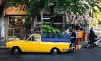 در این نقطه از تهران ، سبزترین موجودات جهان بغلتان میکنند