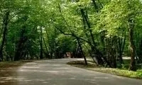 تازه‌ترین تصاویر از قطع ریه‌های تنفسی شهر تهران