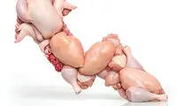 قیمت مرغ با سود متعارف چقدر باید باشد؟