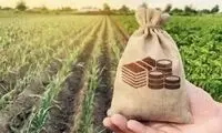 قبض برق برخی مشترکان 80برابر شد!
