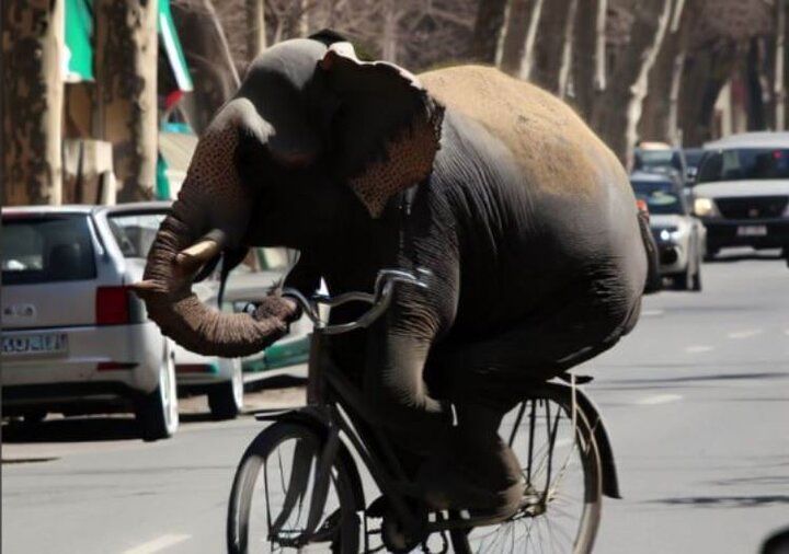 دوچرخه‌سواری یک فیل در خیابان‌های تهران!