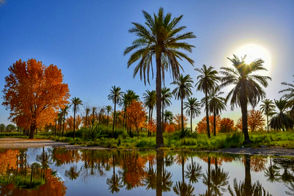 آبادان و خرمشهر در خیال پاییزی هوش مصنوعی