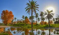 آبادان و خرمشهر در خیال پاییزی هوش مصنوعی