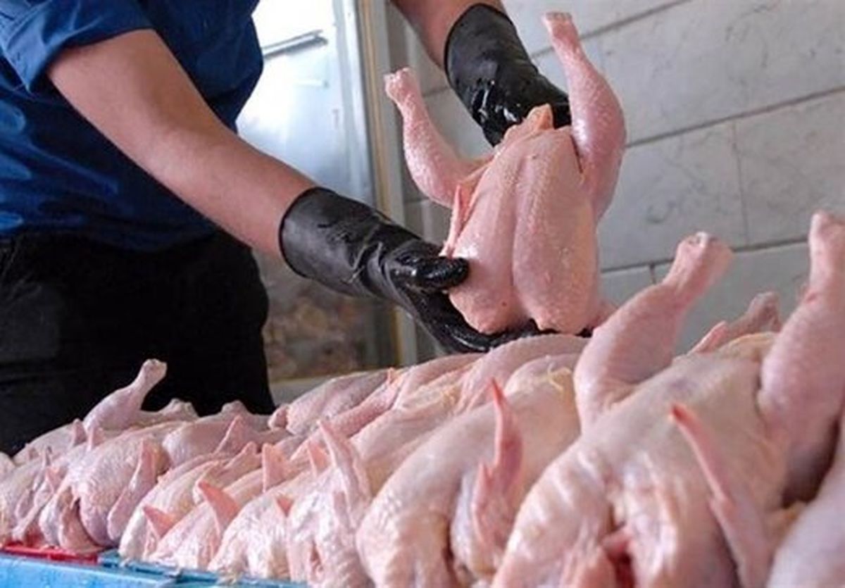 حباب قیمتی به مرغ هم رسید