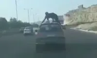 نمایش جنون‌ آمیز روی سقف خودرو وسط اتوبان!
