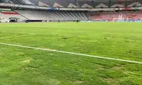 چمن این پارک از استادیوم آزادی خیلی بهتر است