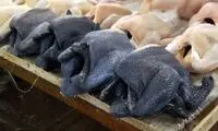 مرغی که بند بند وجودش را سیاهی فراگرفته