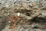 کشف دیواره تاریخی از یک بنا در همدان