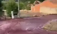 ویدئو جالب از جاری شدن سیلی از شراب قرمز