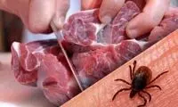 آمار وزارت بهداشت از تب کریمه کنگو در ایران