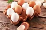 پیشنهاد عجیب برای قیمت تخم‌مرغ که به تازگی مطرح شد