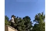 سقوط، عاقبت تلخ پارکور کار همدانی!