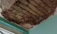 توضیح دانشگاه تهران در خصوص اتفاق جنجالی