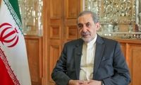 واکنش معنادار مشاور رهبر انقلاب به موضع آمریکا