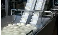 این استان، پنیر پیتزای کل کشور را تامین می‌کند