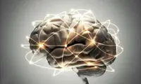 با این رژیم پر از چربی، دیگر آلزایمر نمی‌گیرید! 