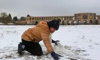 تصاویری از خوشحالی و برف بازی مردم در زاینده‌رود اصفهان