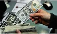 کنایه سنگین یک روزنامه به دولت برای قیمت دلار