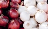  پیاز سفید و قرمز ارزش غذایی یکسانی دارند؟