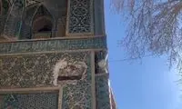 اگر با دیدن این تصاویر از غصه بمیریم، رواست