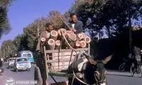 قیمت هیزم با نرخ دولتی برای تهرانی‌ها اعلام شد!