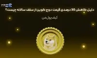 دلیل کاهش 30 درصدی قیمت دوج کوین از سقف سالانه چیست؟
