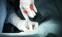 اینجا هر روز معجزه می‌شود!