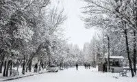 موج سرمای سنگین بر کشور خیمه می‌زند