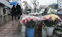موج سرما و باران شدید در راه تهران