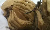وهم‌انگیزترین اشیایی که به تازگی کشف شده‌اند
