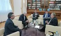 گزارش اولیانوف از دیدارش با نماینده ایران