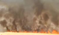 آتش‌سوزی گسترده در مزارع کشاورزی ایذه