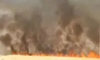 آتش‌سوزی گسترده در مزارع کشاورزی ایذه