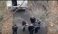 معمای دست پیدا شده در جنگل کشف شد