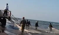 ماجرای صید یک ماهی عجیب و غریب در انزلی