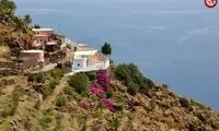 اگر «بُز» رایگان می‌خواهید به این منطقه بروید!